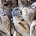 bream, fish, fish market, fresh fish, nature, market